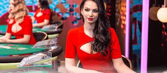 Privasi akun saat melihat bonus jos007